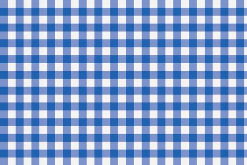 Outdoor Stoff - Teflon - Vichy Karo Weiß/Royalblau