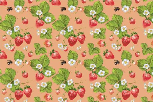 Outdoorstoff - Erdbeeren Apricot