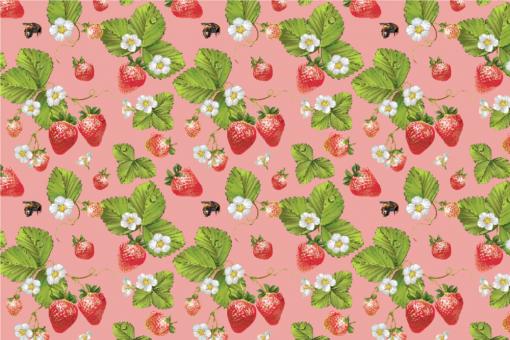 Outdoorstoff - Erdbeeren Rosa