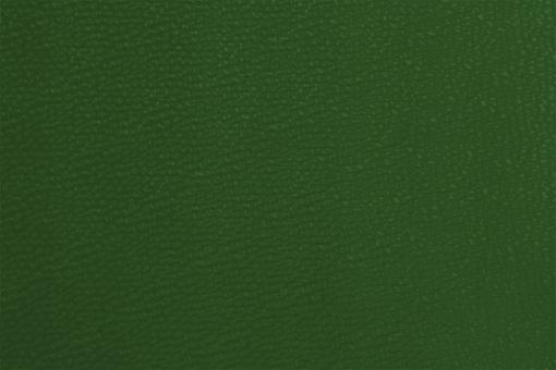 Kunstleder - Deluxe Grün