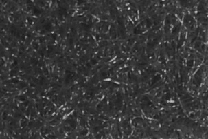 Flauschband selbstklebend - 20 mm - 25 m-Rolle Grau