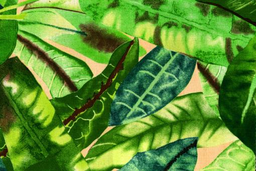 Markise Spain Sommer - Tropic 
