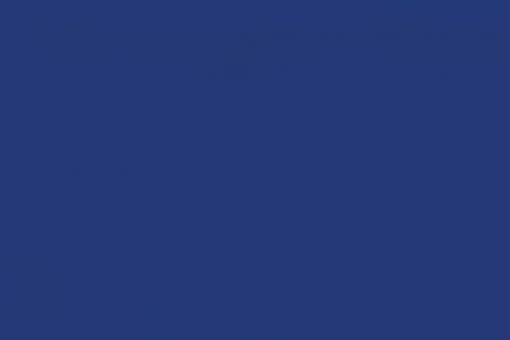 Persenning-Plane - 460 g - 250 cm breit - Royal 