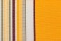 morepic-1