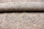 morepic-1