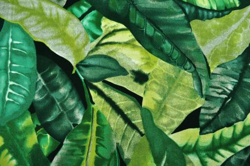 Outdoor- und Markisenstoff - Amazonas Grün 